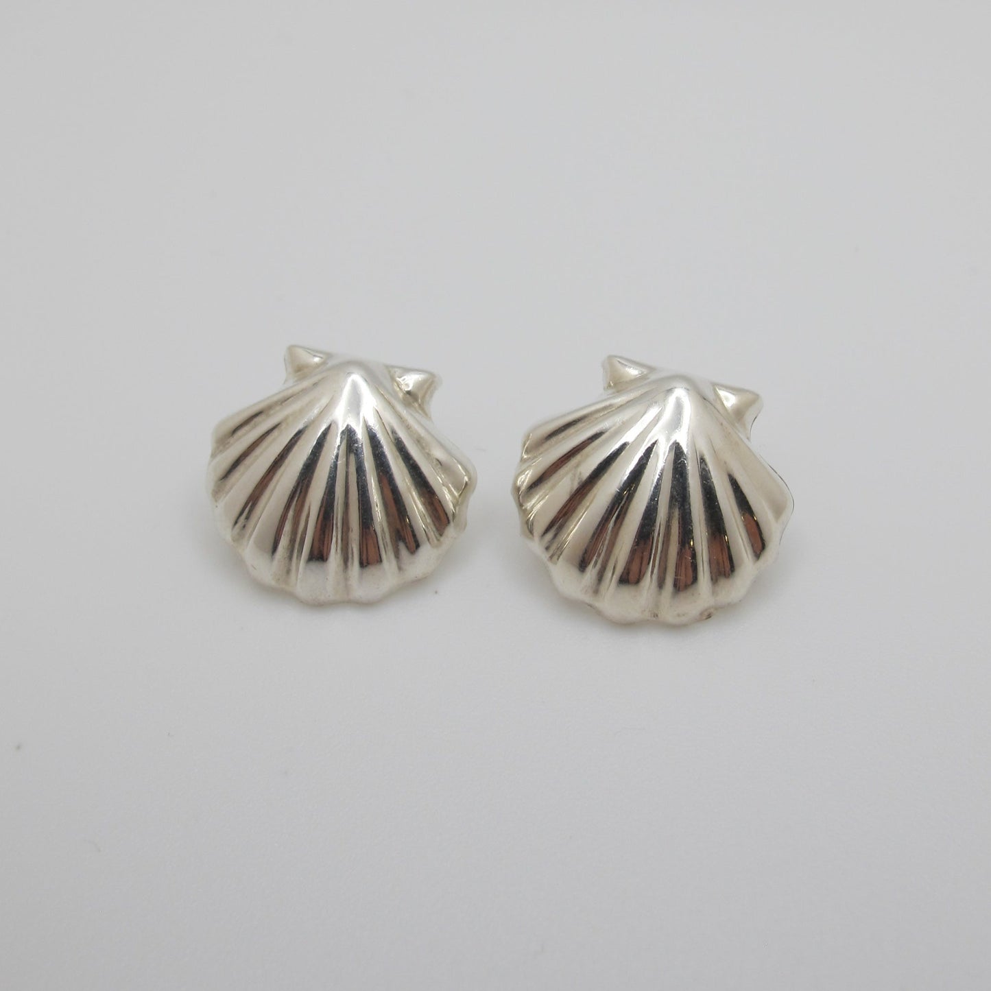 Silver shell earrings on a white background