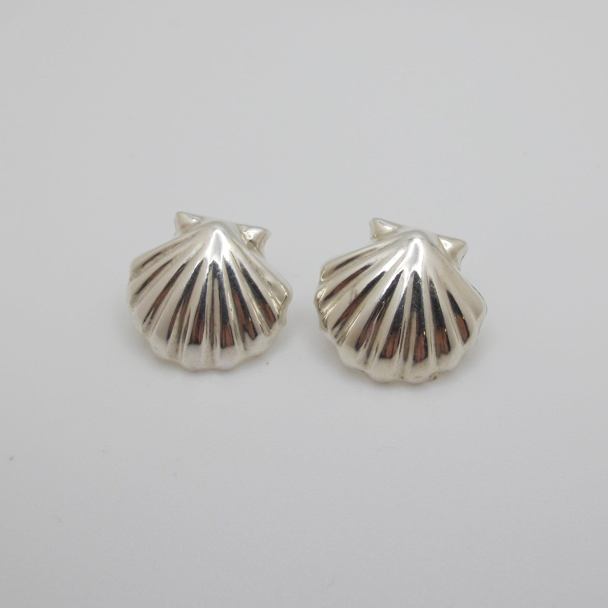 Silver shell earrings on a white background